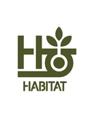 Austyn Gillette Micropolis Skateboard Deck 8.25