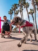 Pit Viper The Rubbers Exciters