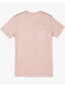 RVCA PTC II Pigment Tee | Pale Mauve