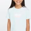 Volcom Last Party Tee | Chlorine